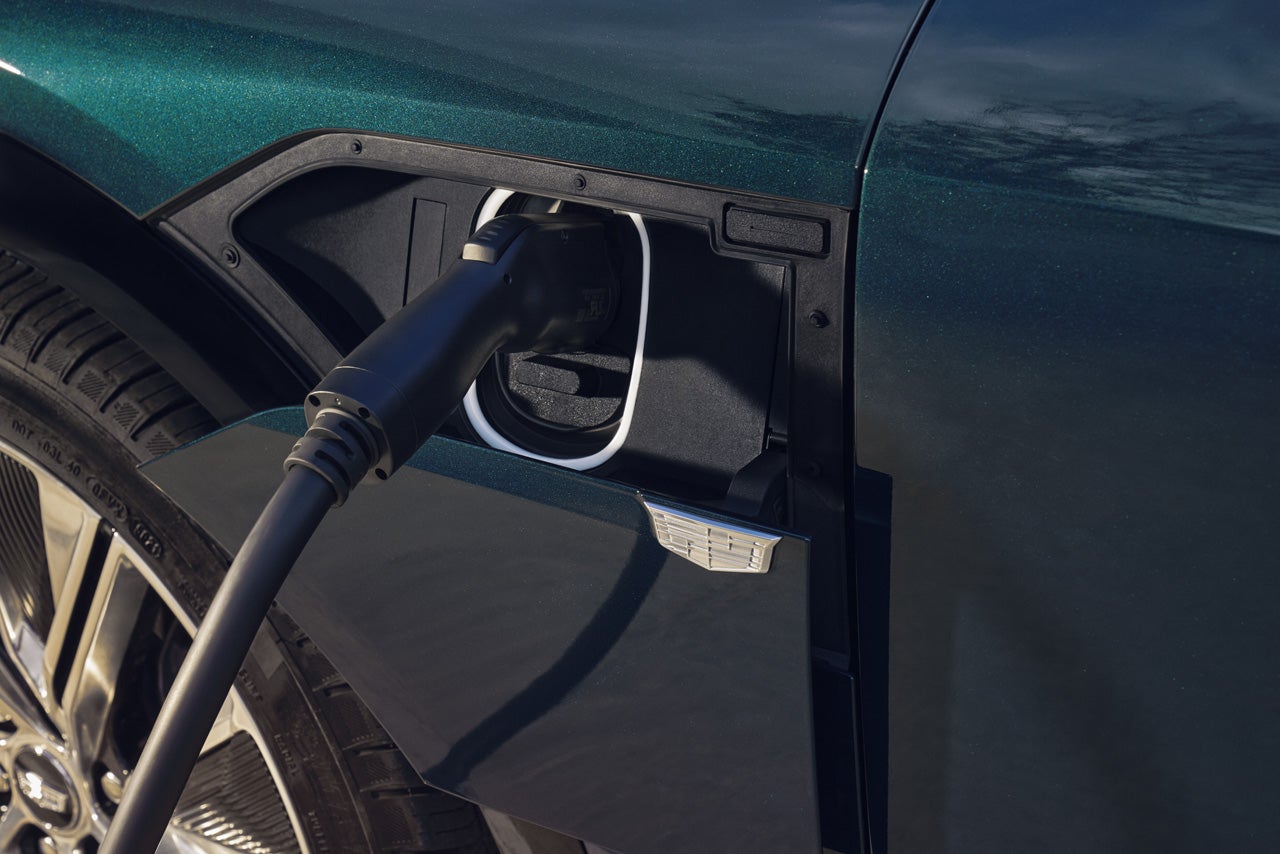 CadillacDemo2 in Derwood MD